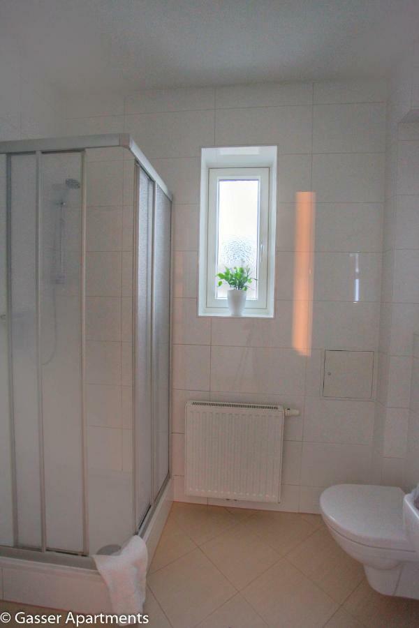 Gasser - Karlskirche Apartment